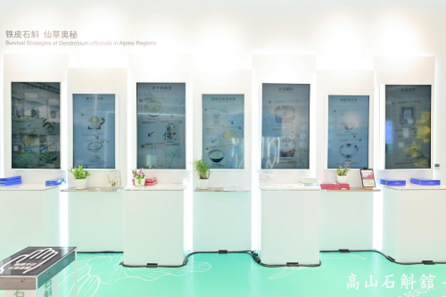 国妆品牌创新突围全球首座石斛馆探索文化传承与生态融合路径(图5)