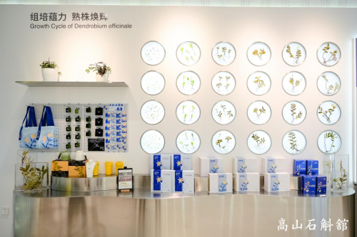 国妆品牌创新突围全球首座石斛馆探索文化传承与生态融合路径(图6)
