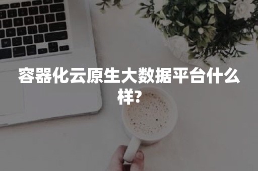 容器化云原生大数据平台什么样？(图1)
