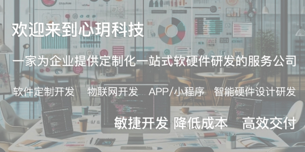 北京心玥软件公司：如何选择靠谱的软件开发与外包服务商？(图2)